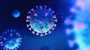 What is Disease X?