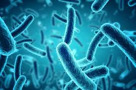 Resistance to Carbapenam [Last resort antibiotics] growing in India – ICMR study:
